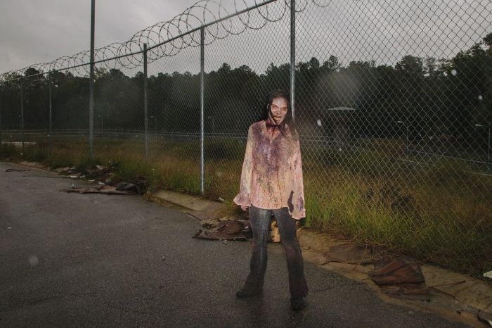 walking_dead_08